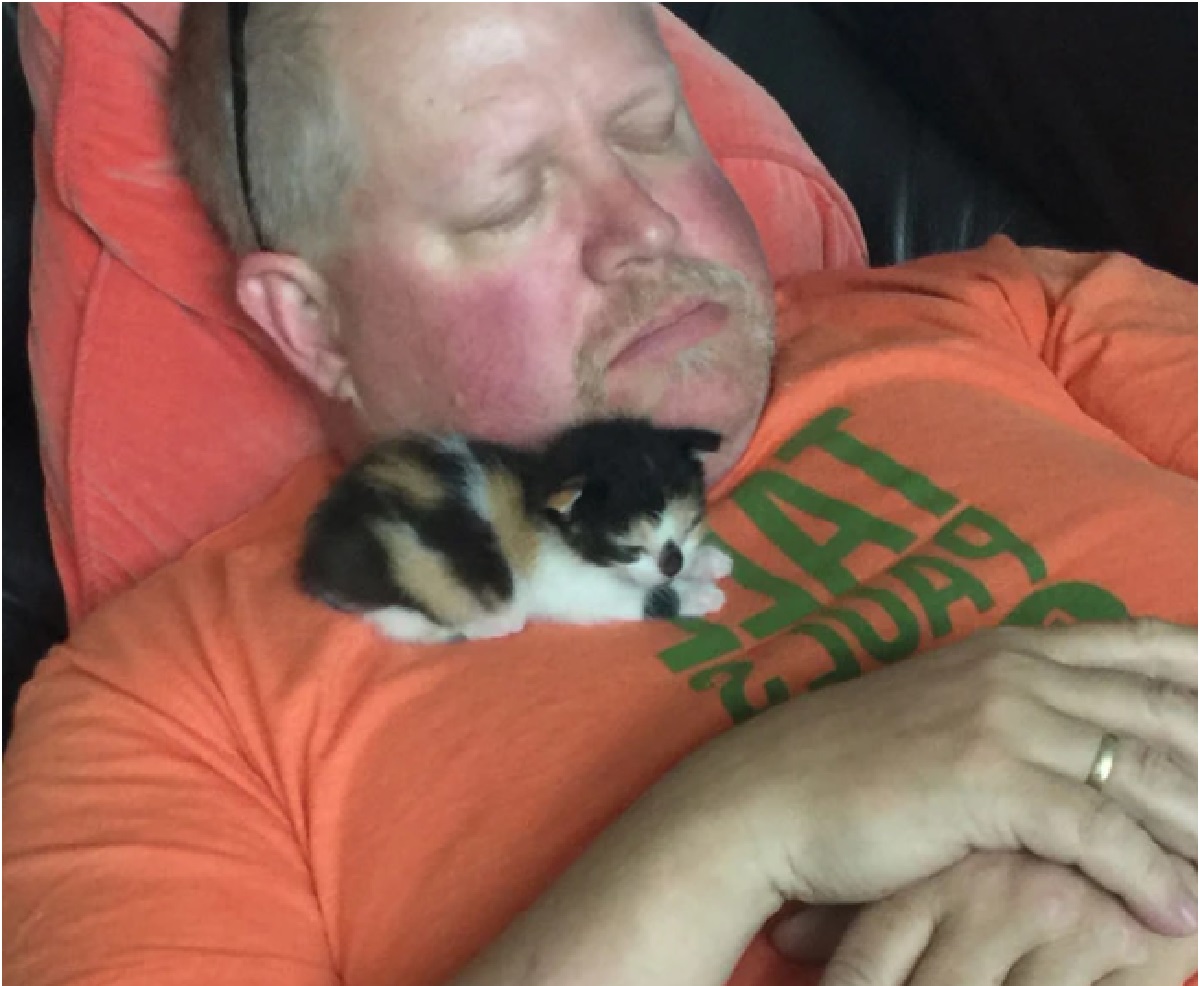 papà e animali-sonnellino