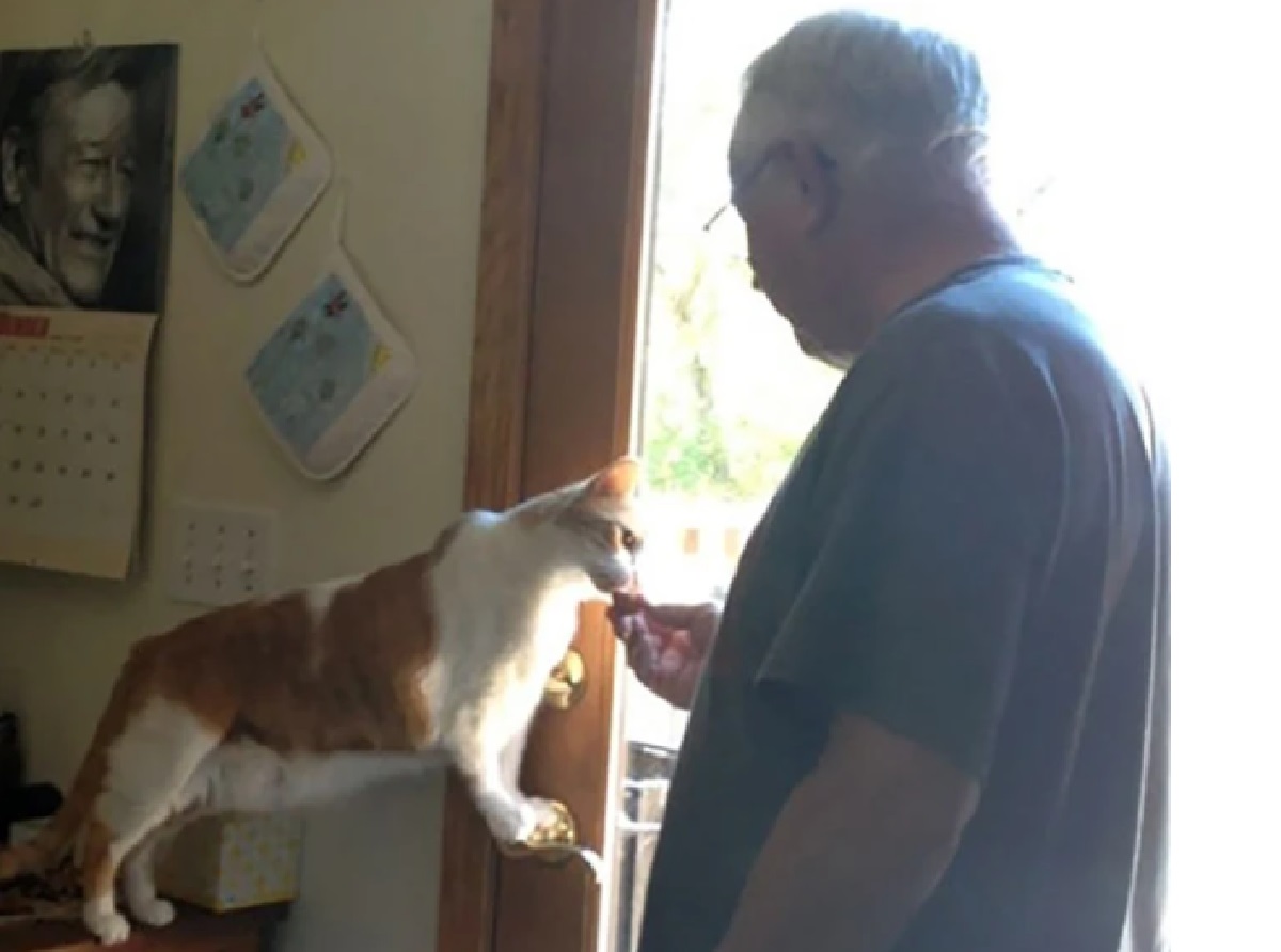 nonno e il gattino