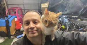 Una gatta fa visita nel garage e stravolge completamente la vita di un uomo
