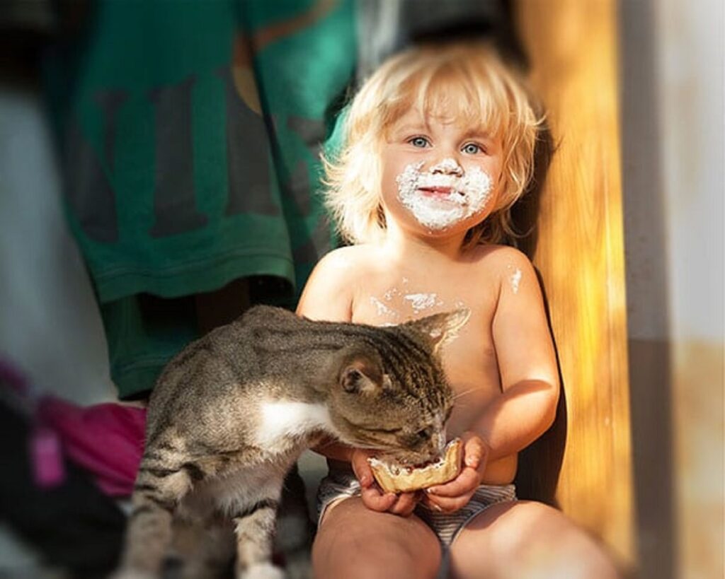 gatto spuntino merenda