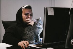 8 foto che ti convinceranno a portare il gatto a lavoro con te