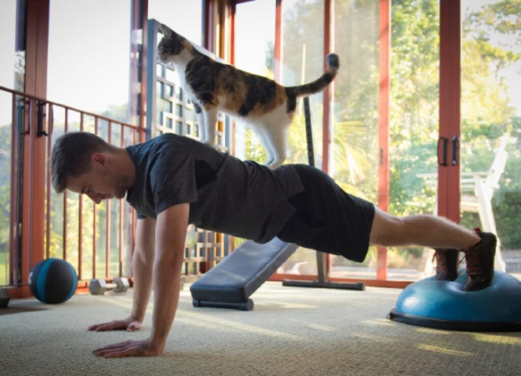 gatto che fa flessioni su papà