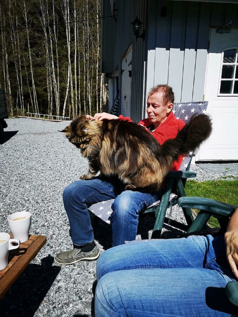 papà seduto gatto