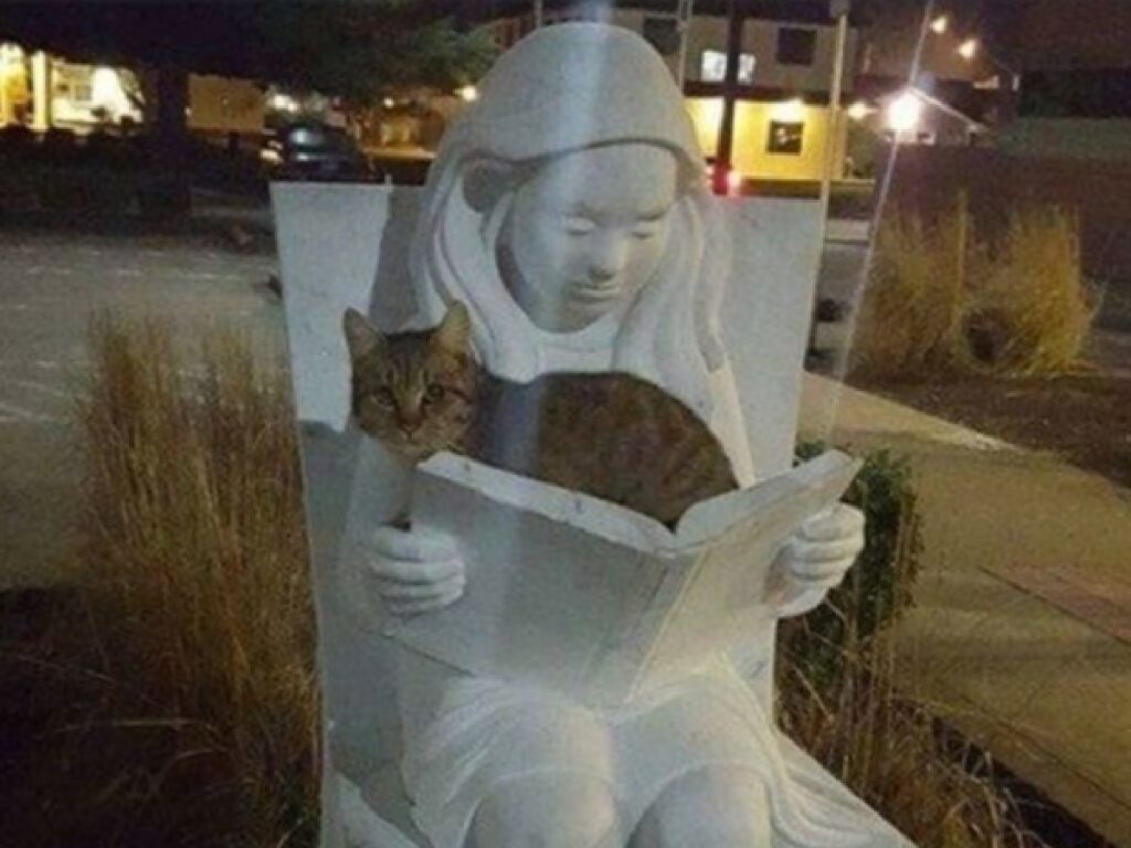 gatto libro statua ragazzina