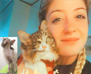 Andria, arriva il lieto fine per la storia della gattina “mezza faccina”: dopo l’incidente la nuova vita