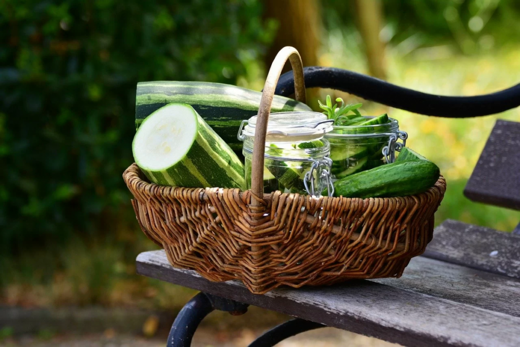 cesta di zucchine per gatti