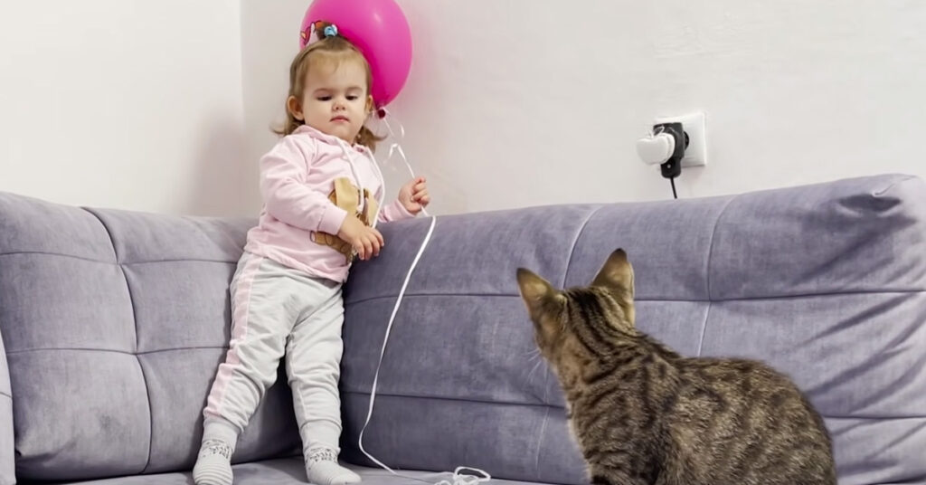 Gatto e bambina che giocano con un palloncino