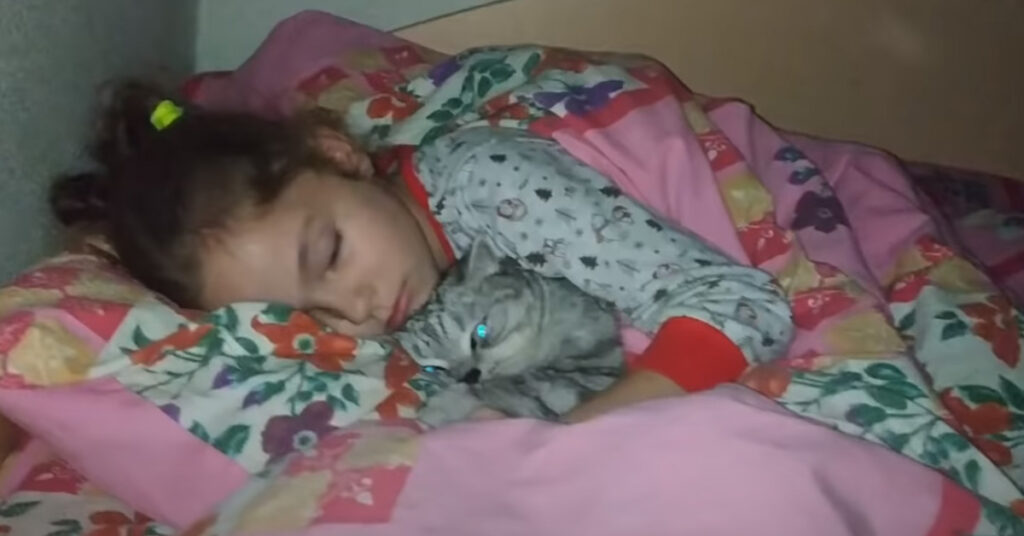 Gatto con una bambina