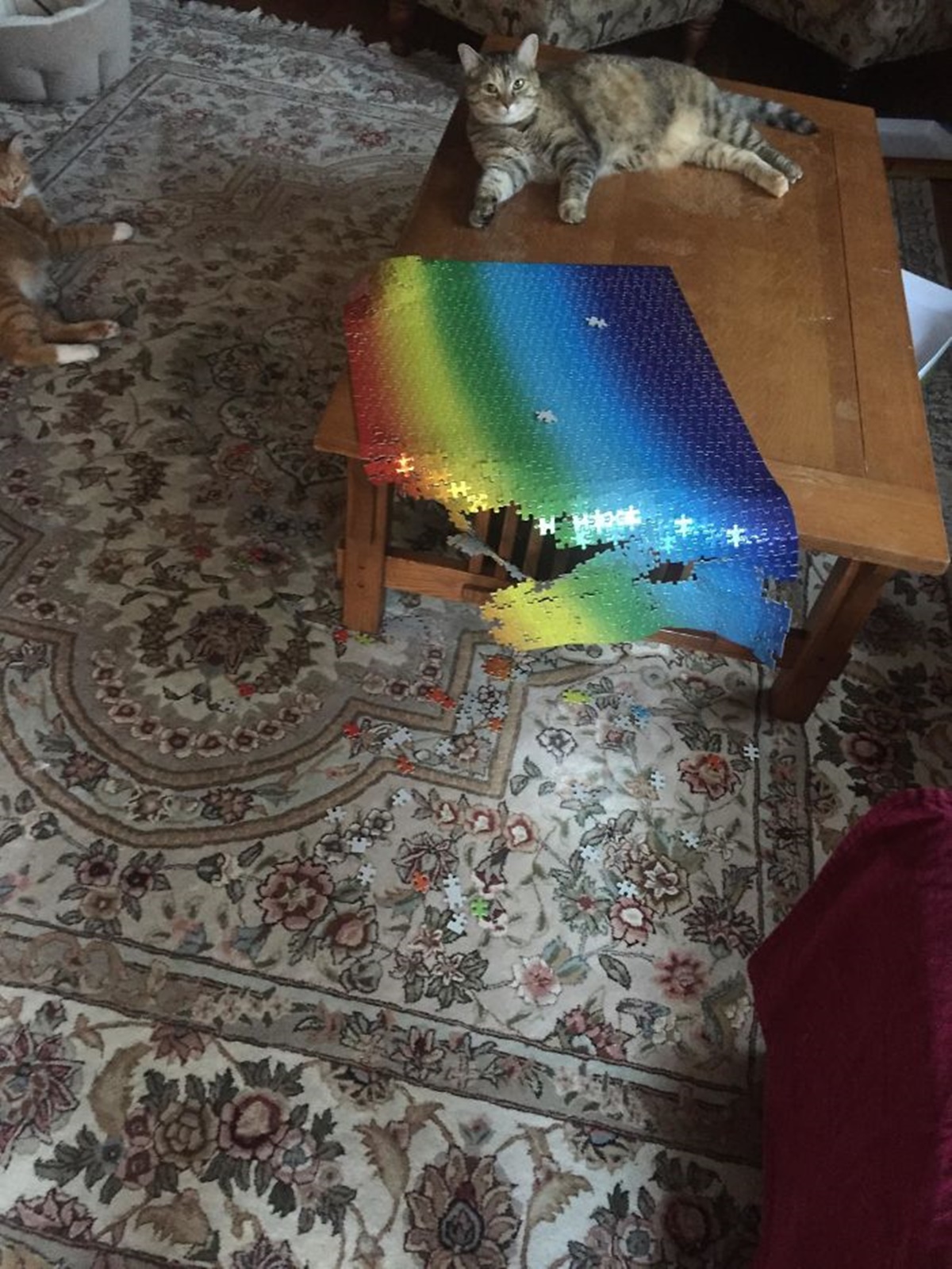 gatto puzzle arcobaleno