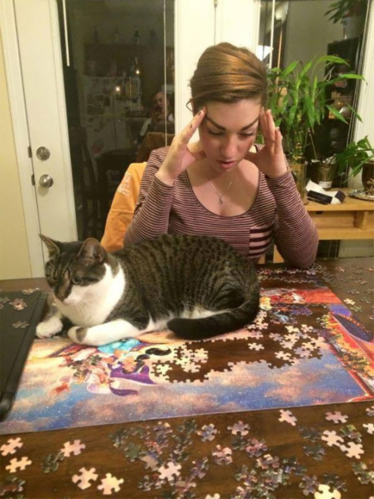 gatto si sdraia su puzzle