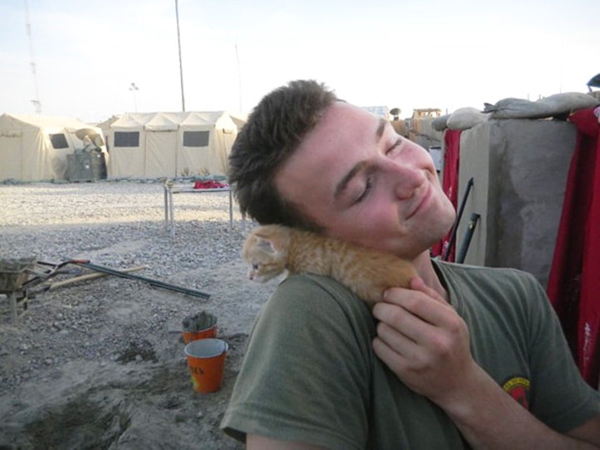 soldato si rilassa con gatto