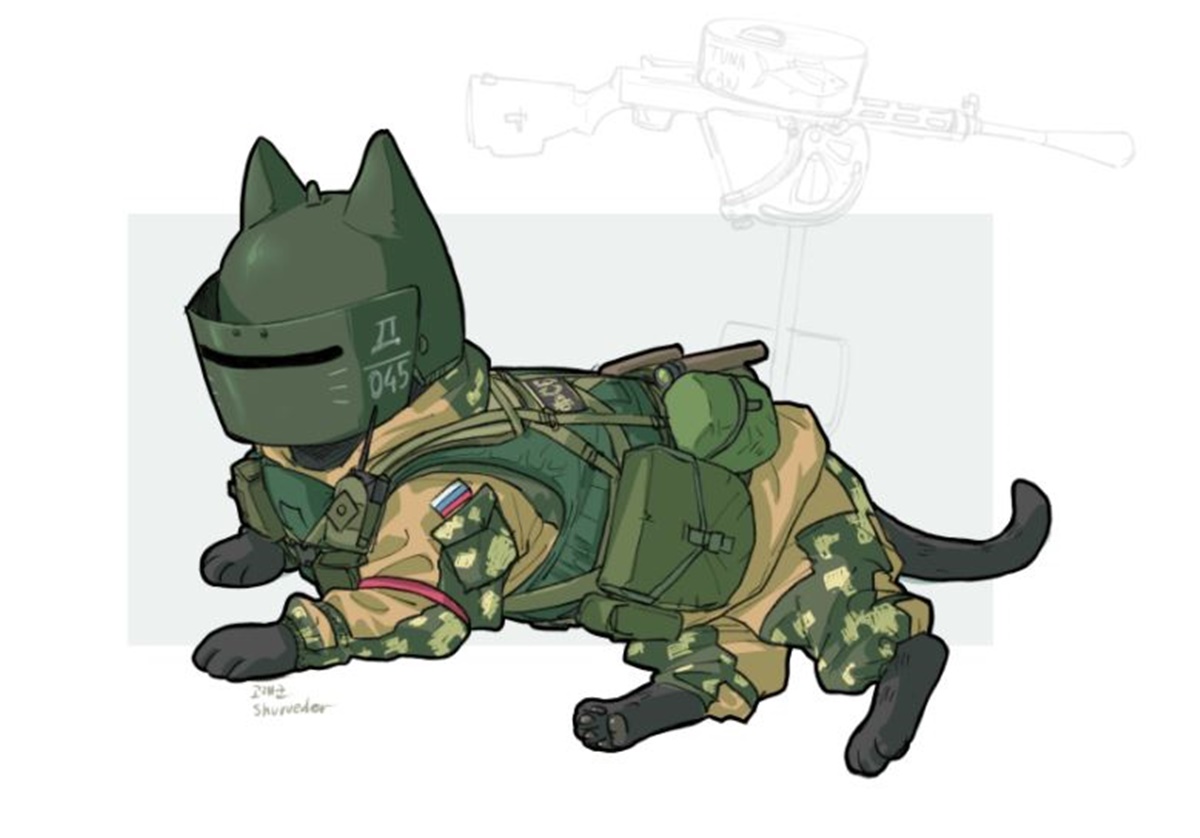 gatto tachanka