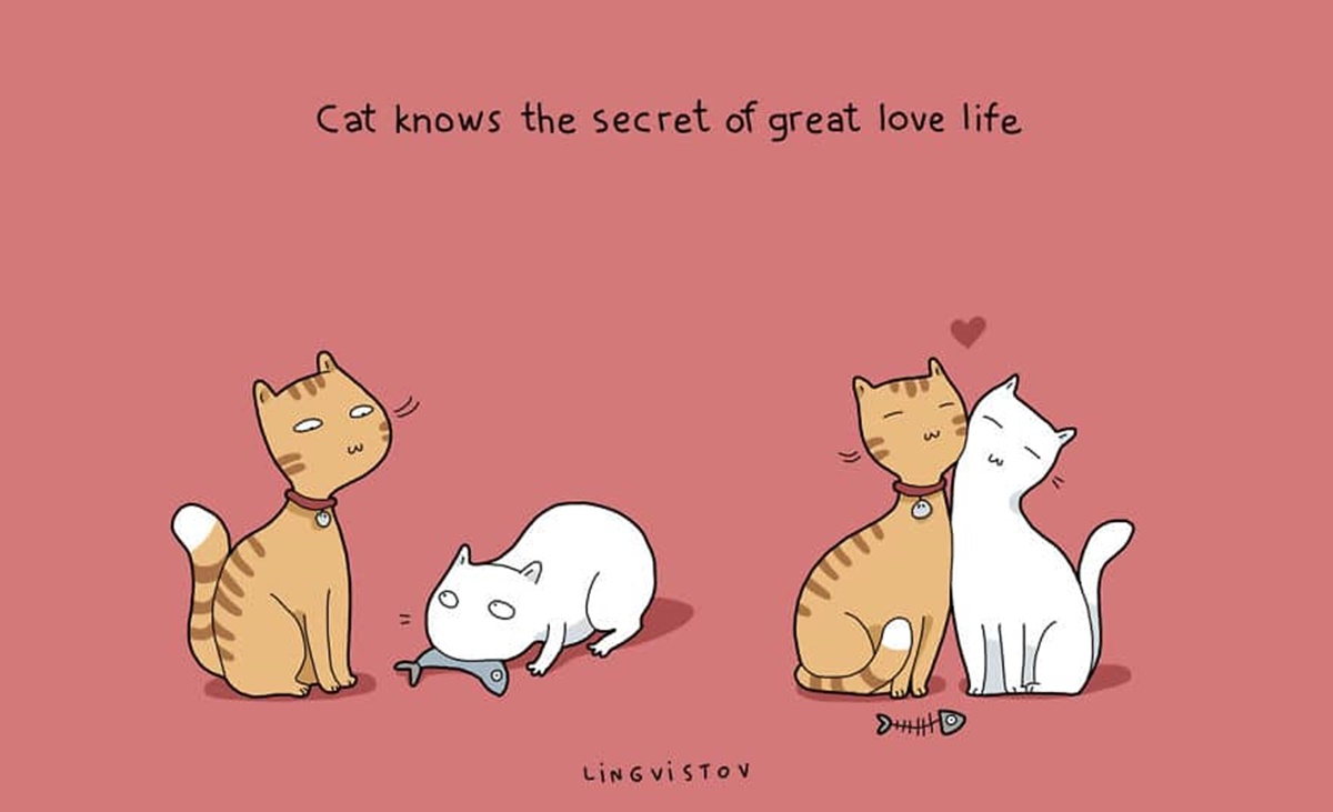 gatto innamorato