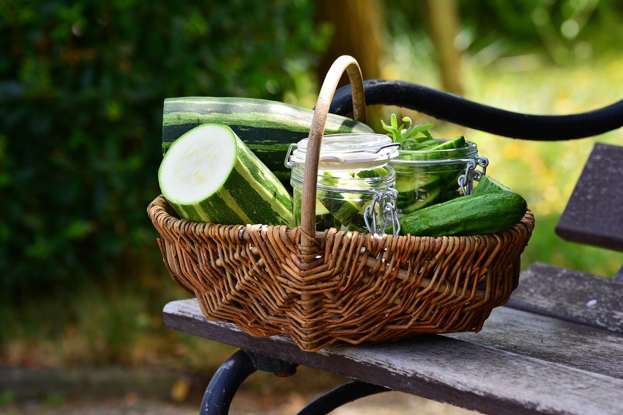 zucchine e gatti