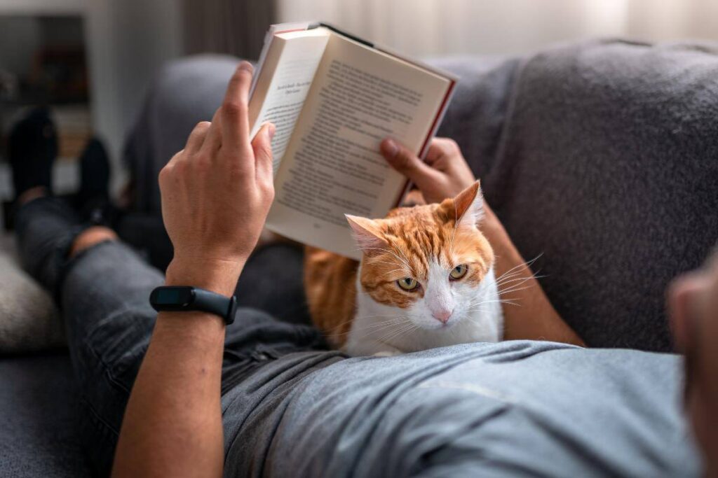 gatto sulla pancia del padrone che legge