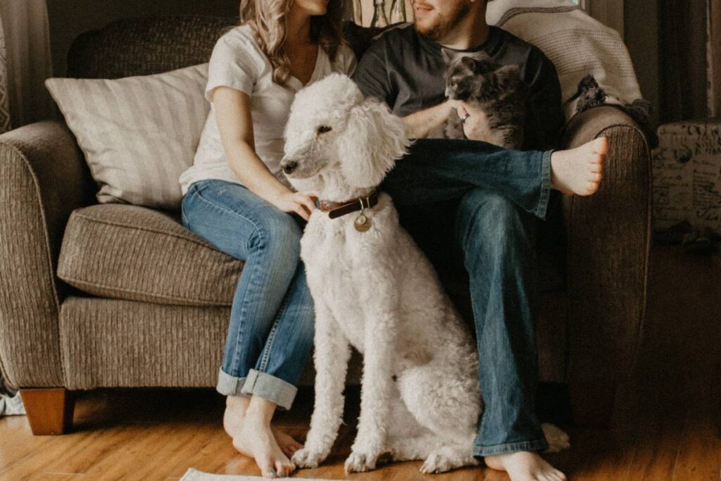 famiglia con cane e gatto