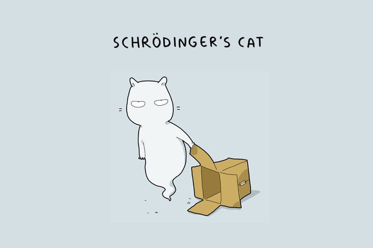 gatto di Schrodinger