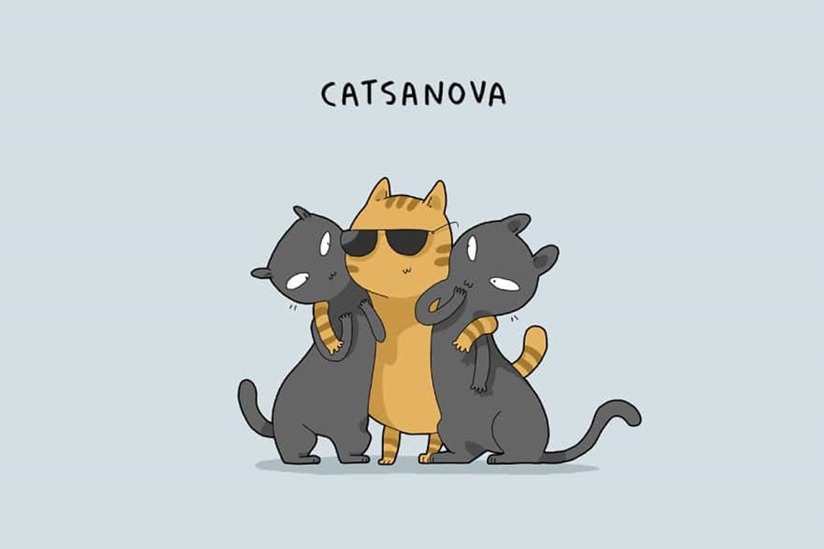 gatto casanova