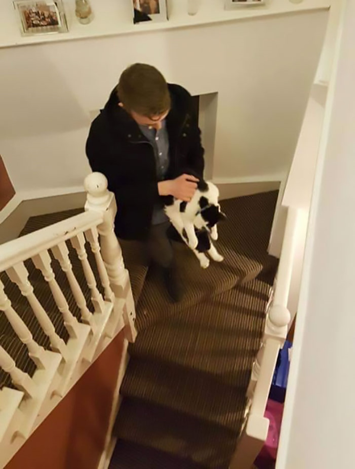 uomo e gatto scale