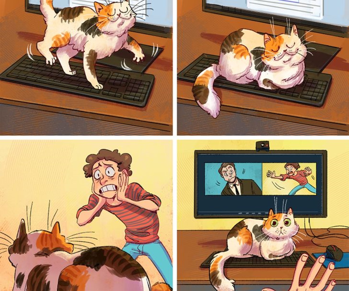 gatto pc