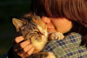 3 benefici segreti delle fusa del gatto