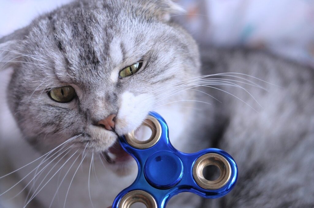 felino fidget spinner