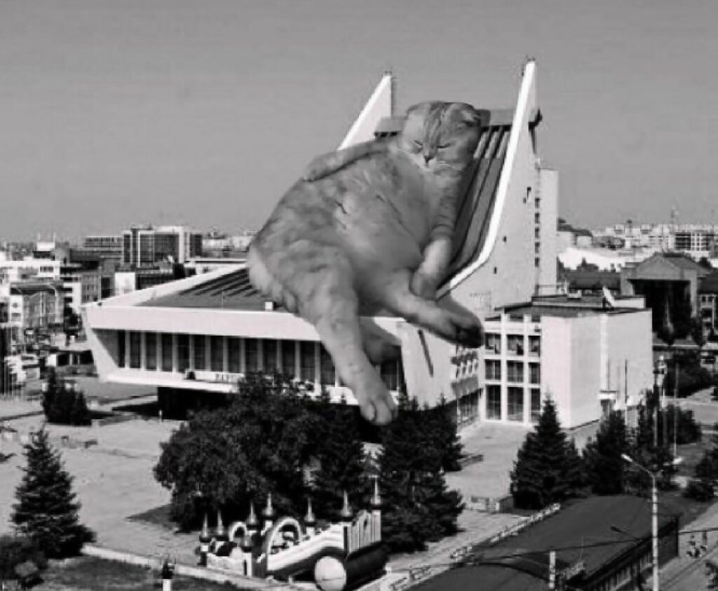 gatto dorme su edificio russia