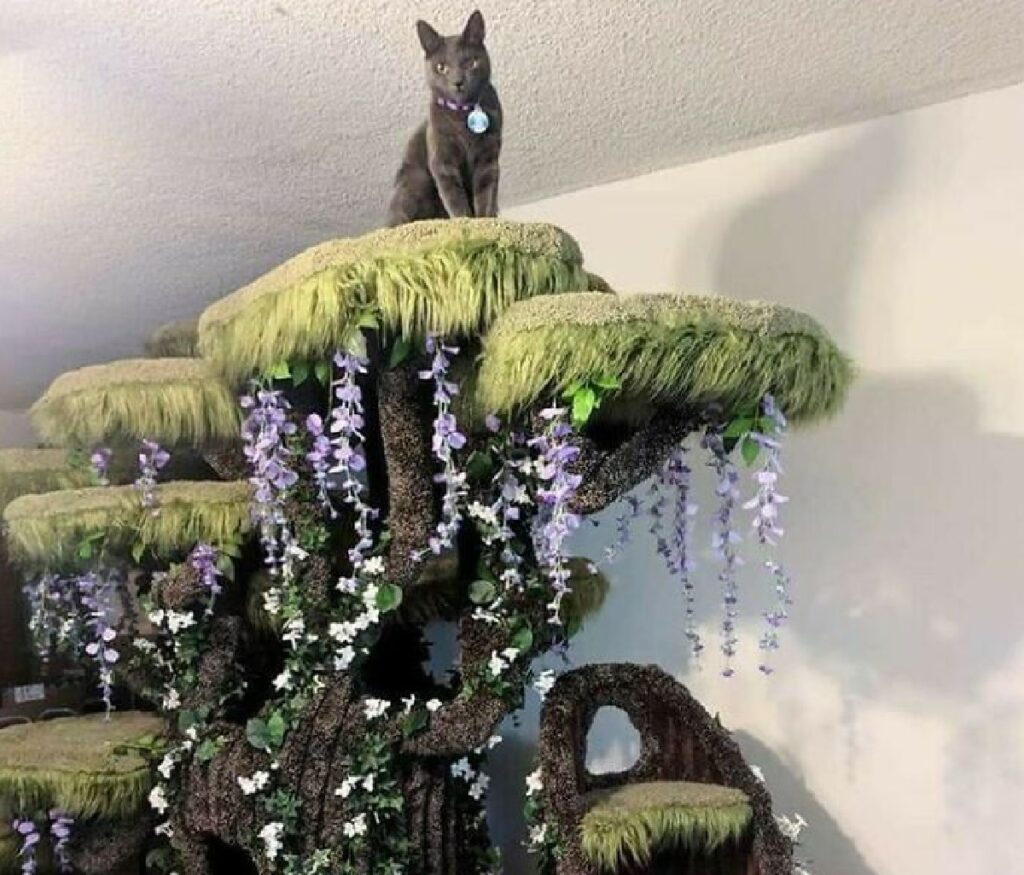 gatto nero su albero felino