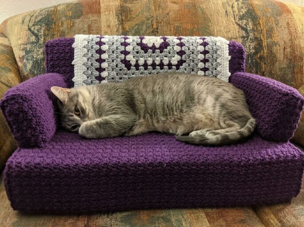 gatto soriano divano su misura