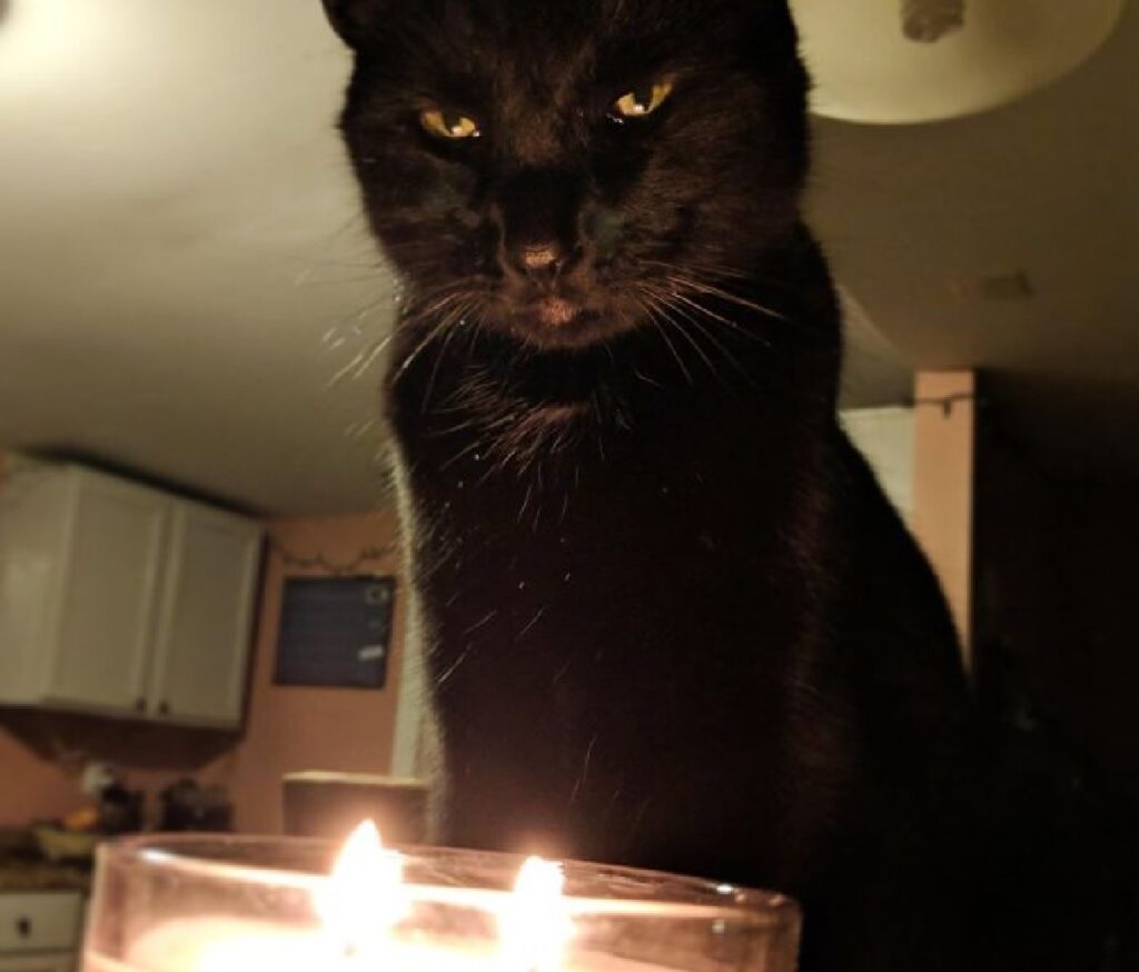 gatto nero candela accesa