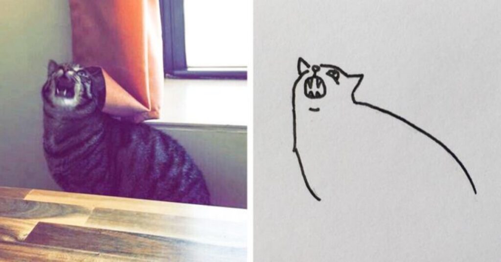 simpatici gatti disegno