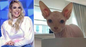 Ilary Blasi presenta Alfio, il suo nuovo gatto