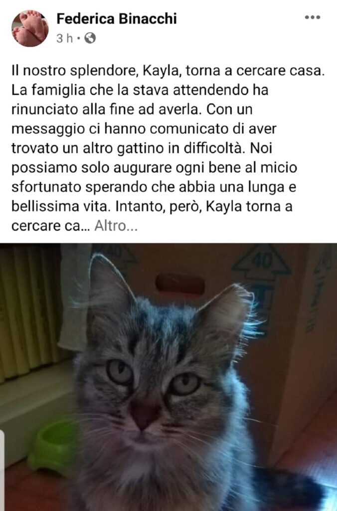 una famiglia per kayla 