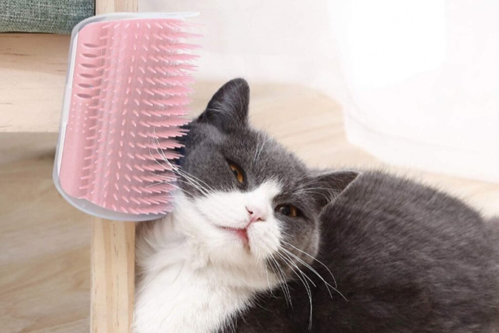 spazzola per gatti in silicone