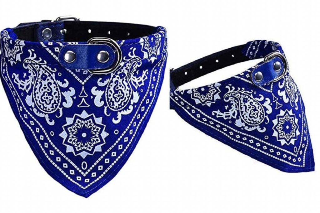 bandana blu per gatti