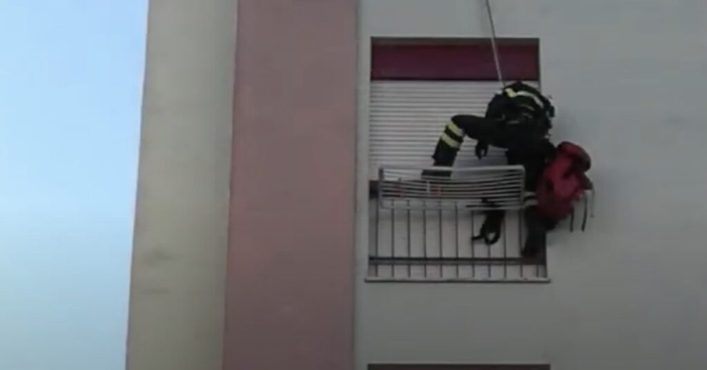 pompiere salva un gattino appeso a una finestra