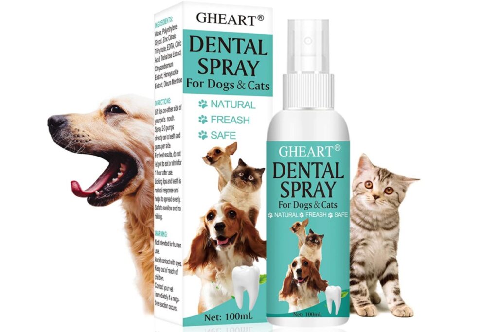 spray per pulire i denti del gatto