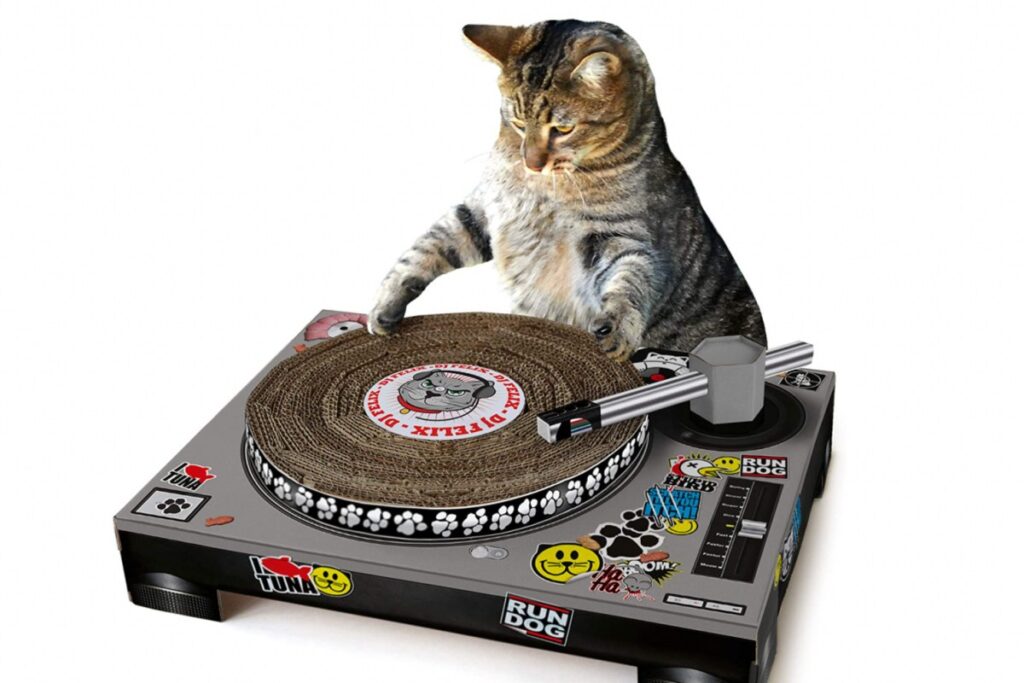 tiragraffi dj per gatto