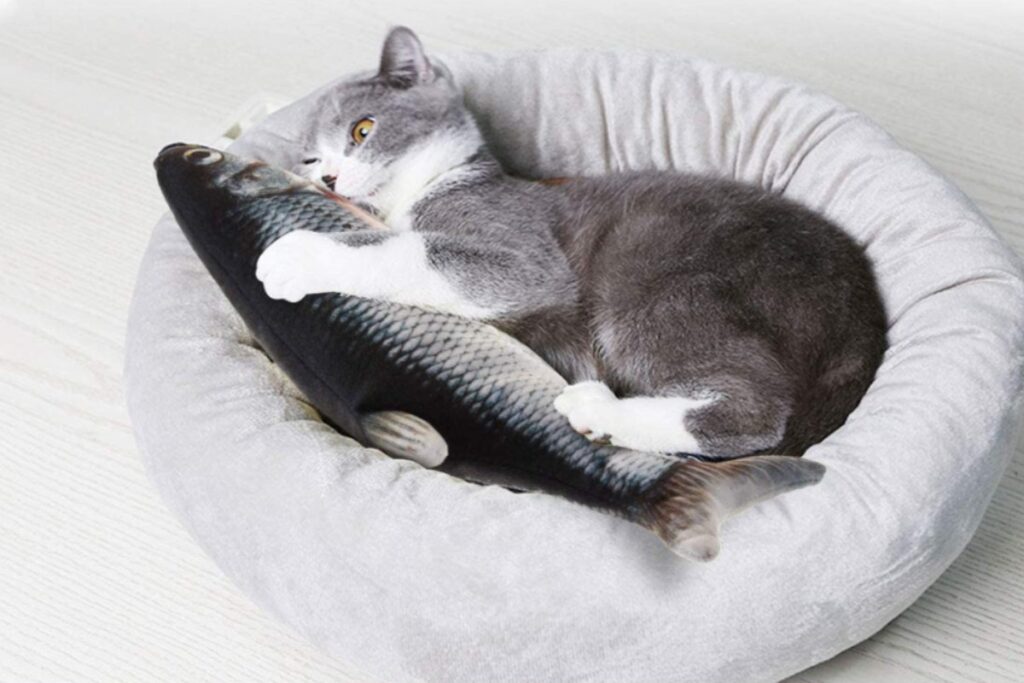 giocattolo per gatti a forma di pesce