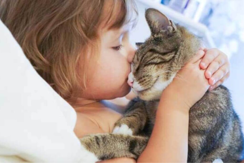 bimba bacia gatto