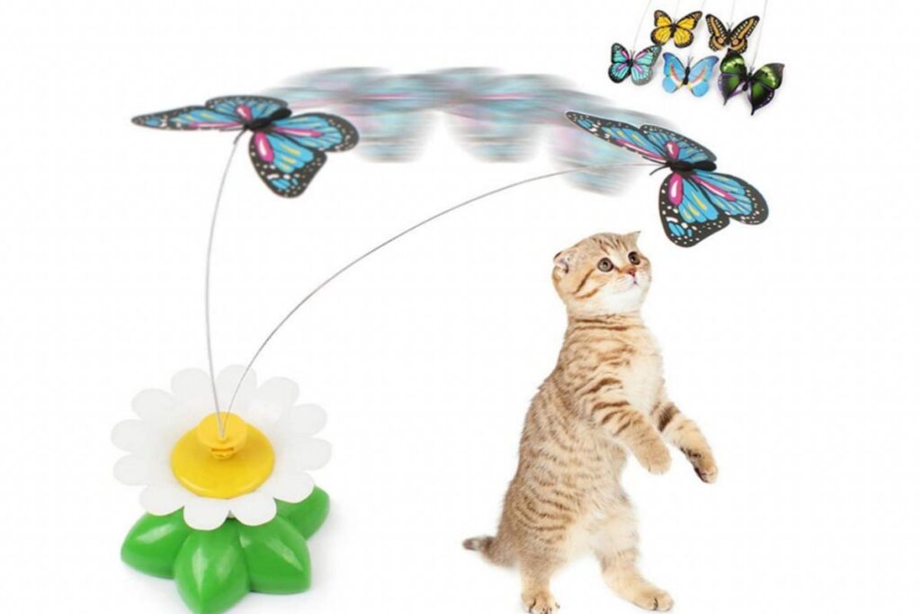 gioco elettronico con farfalla