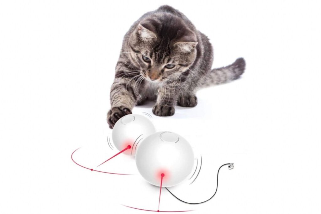 palla interattiva per gatti