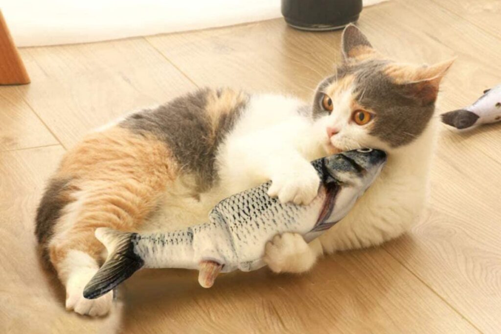 pesce interattivo per gatti