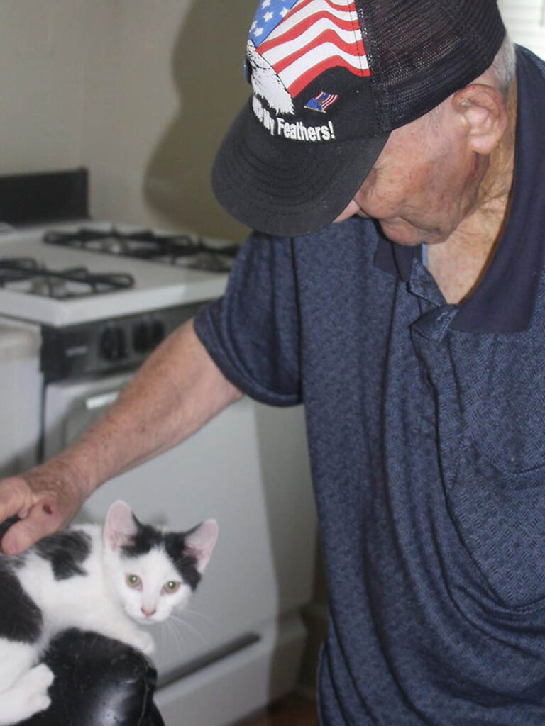 Veterano salvato dal gatto