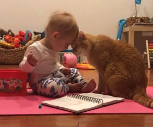 gatto gioca con bambina
