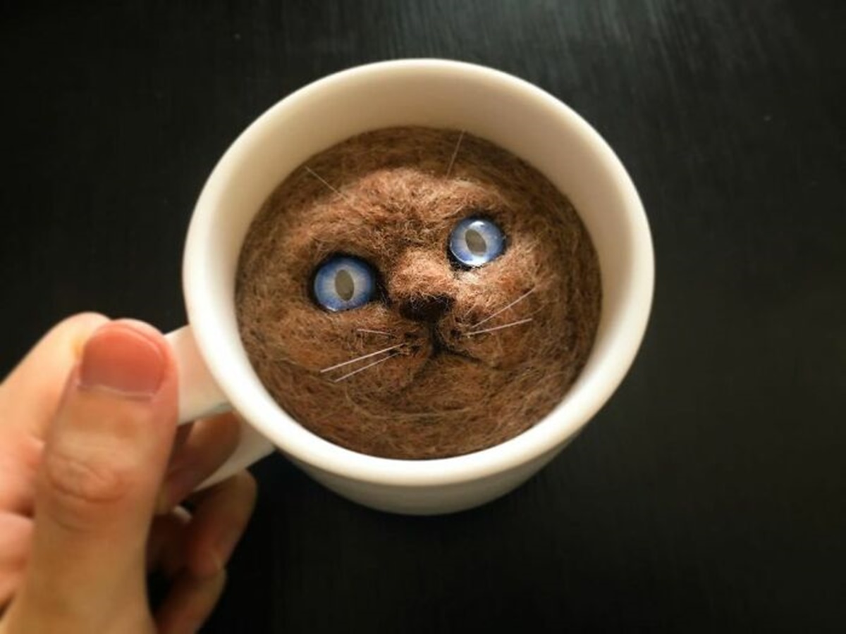gatto caffè