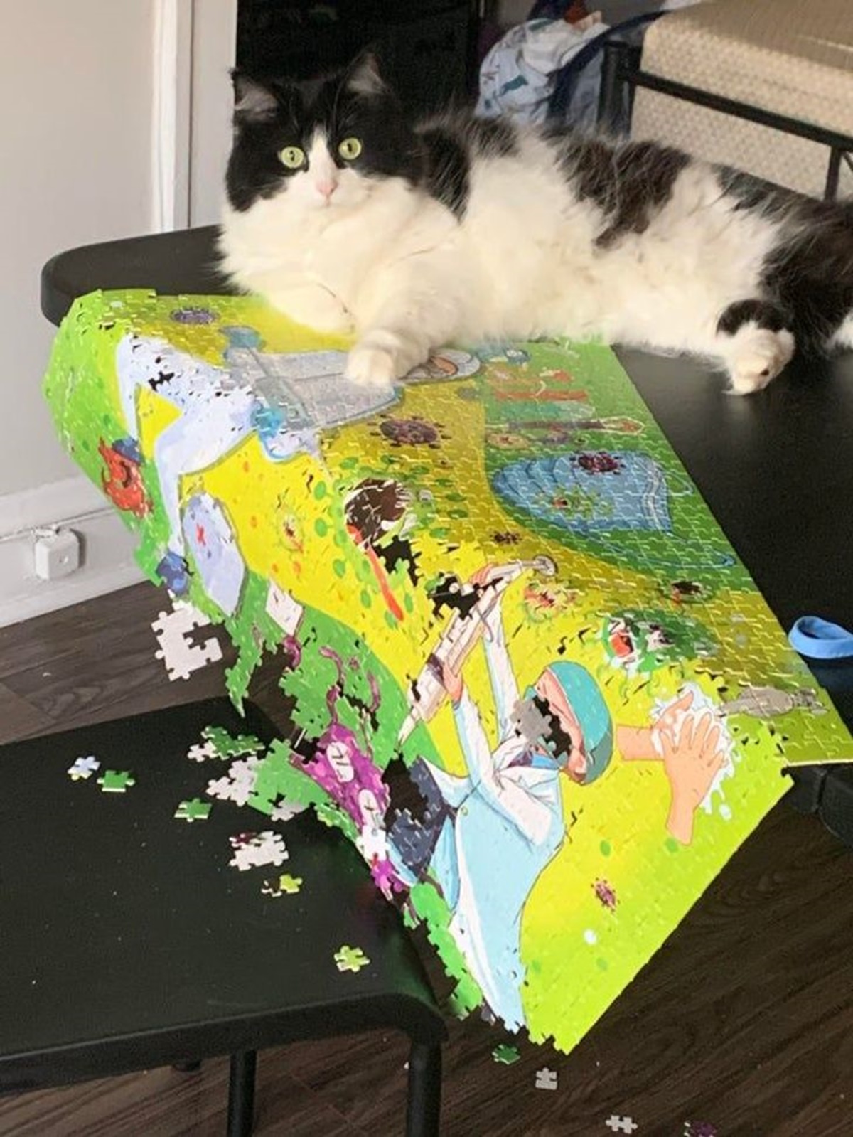 gatto puzzle