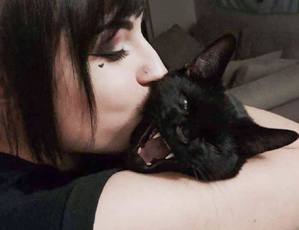 gatto nero bacio su collo