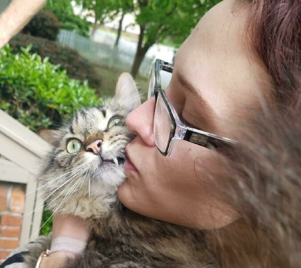 gatto bacio non apprezzato