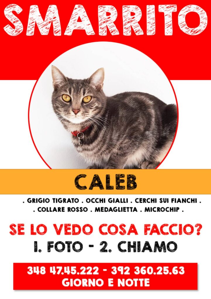 annuncio per ritrovare Caleb